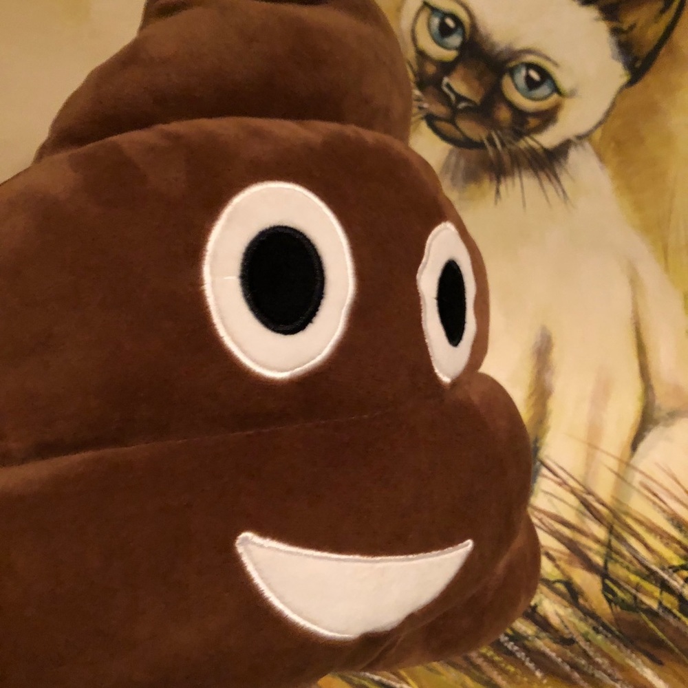 Funny Poop emoji pillow